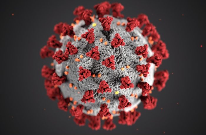 coronavirus